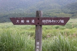  008  