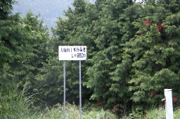  066 